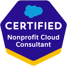 salesforce certified nonprofit success pack consultant