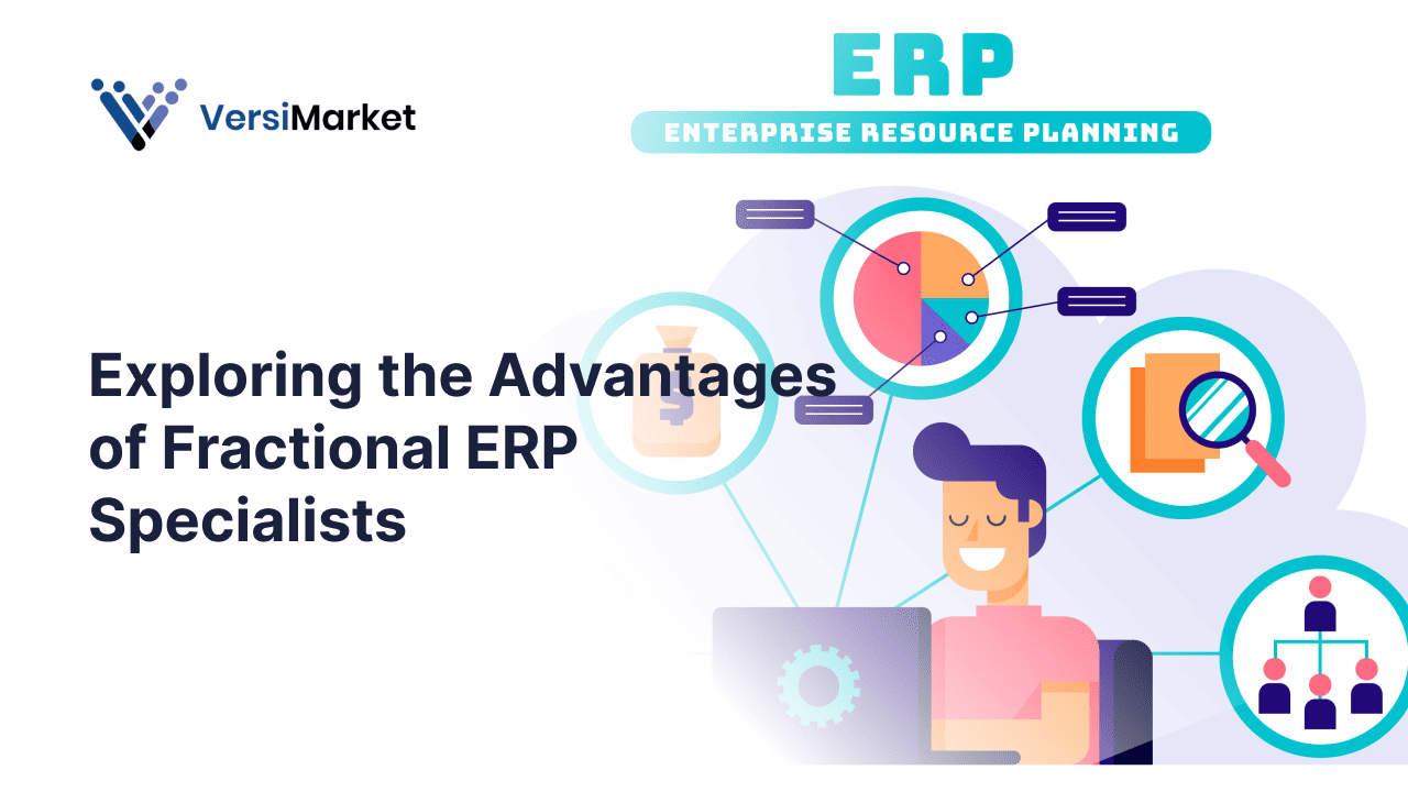 Fractional ERP Specialists