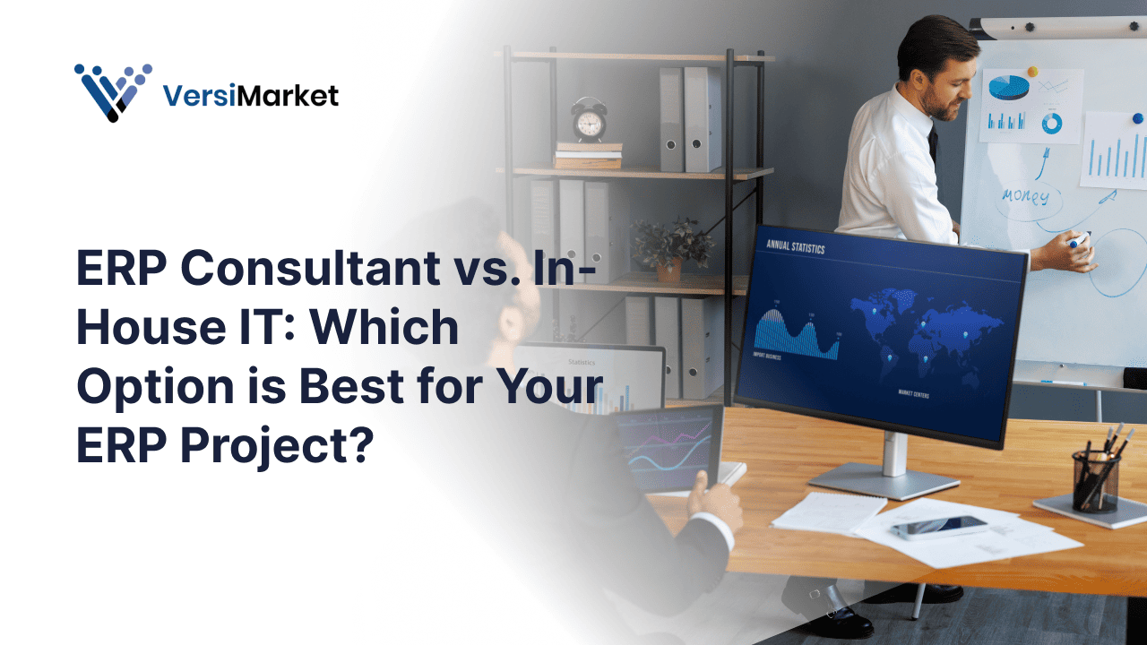 ERP Consultant